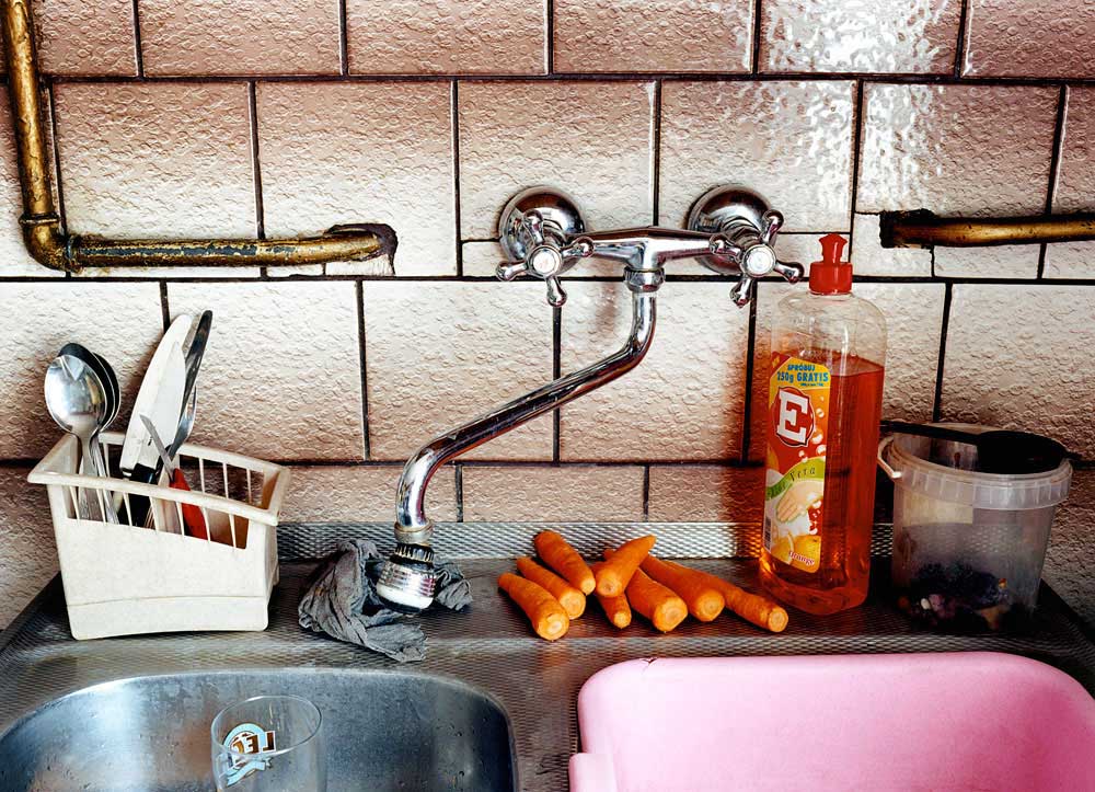 Carrots by the Sink 2004