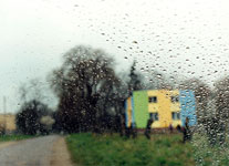 Rynowo in the Rain